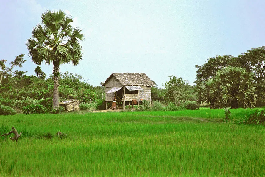 Immersion in a Khmer Village