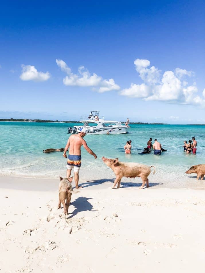 Pig Island & Snorkelling by longtail boat