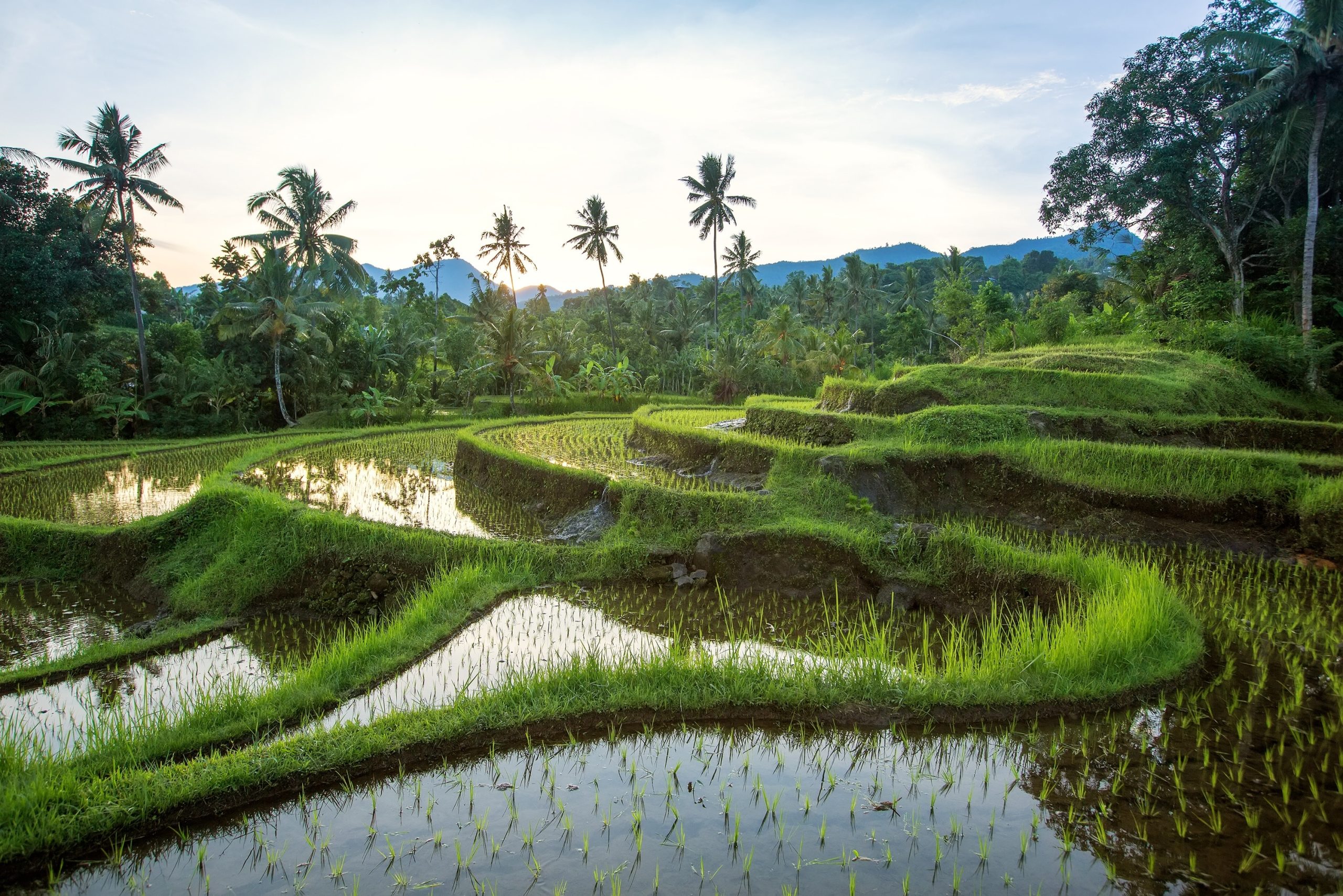 Active in Bali