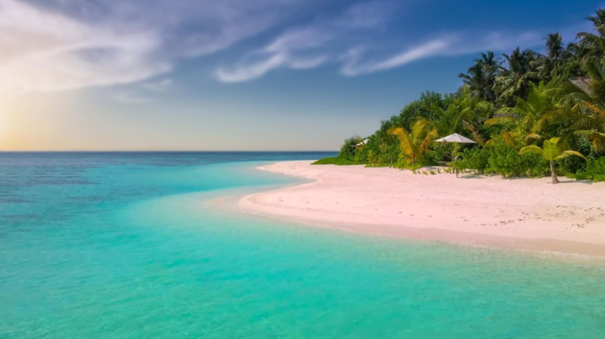 Palawan Island Explorer