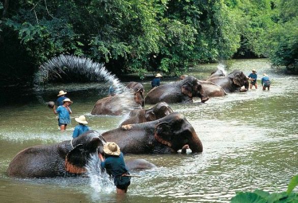 Laos in Style