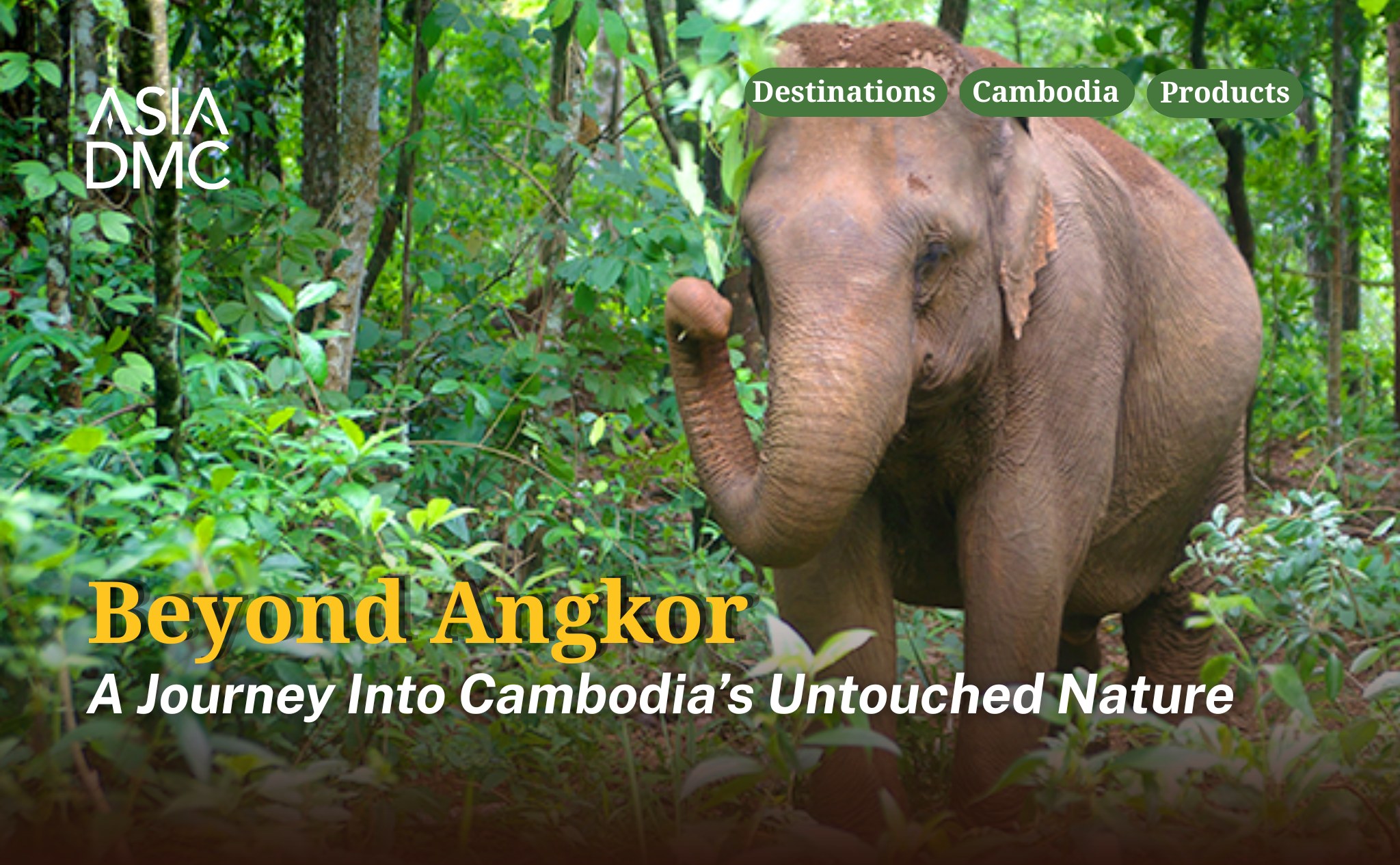 Beyond Angkor 4-day Mondulkiri journey asia dmc